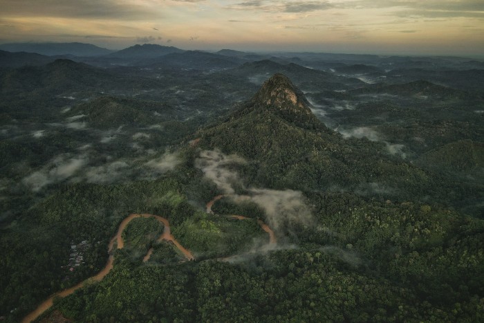 borneo indonesia (1)