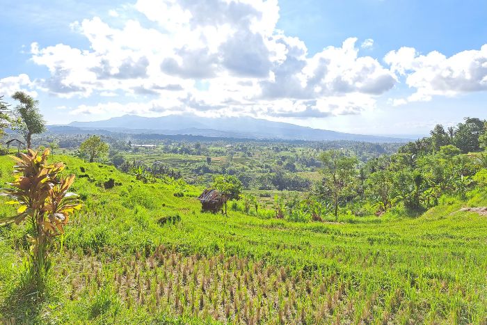 kastala trekking bali