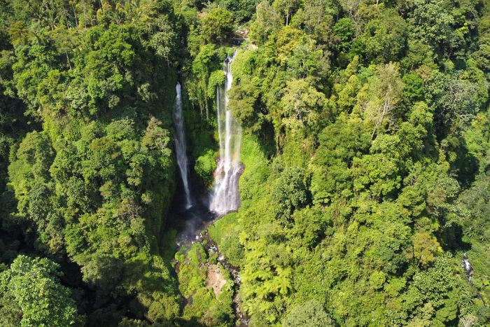 sekumpul cascate bali