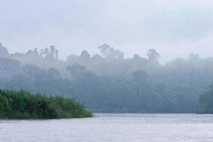 tour borneo lankayan