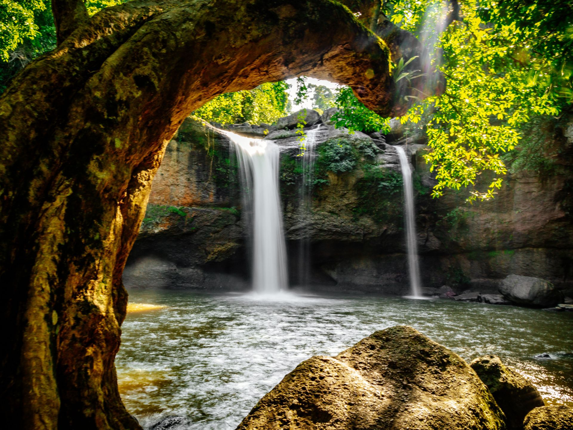 khao yai national park