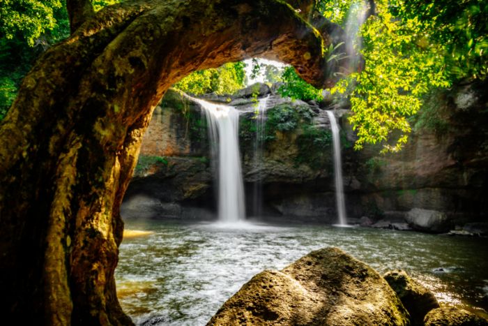 khao yai national park