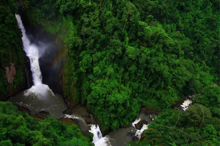 khao yai national park