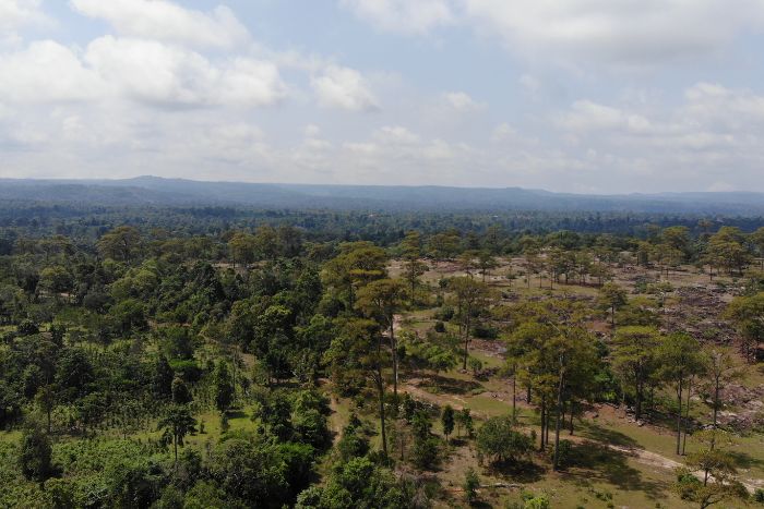 bolaven plateau laos