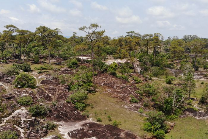 bolaven plateau laos