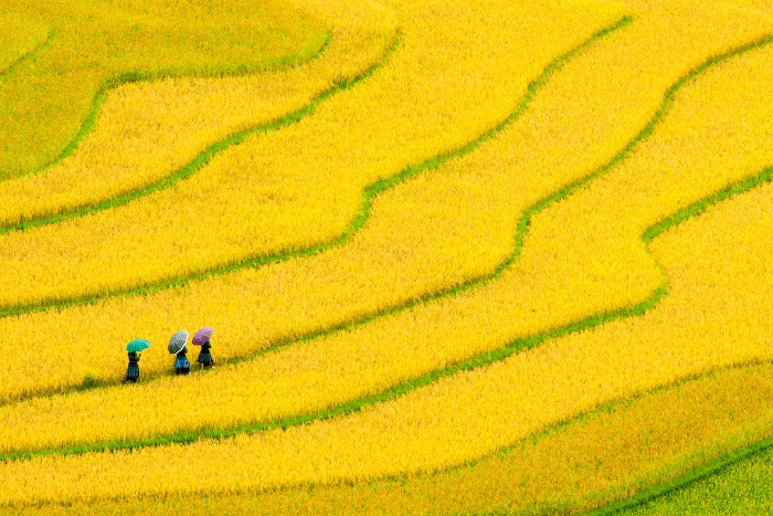 tour organizzato vietnam