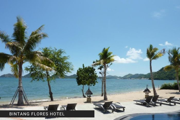 bintang flores hotel (2)