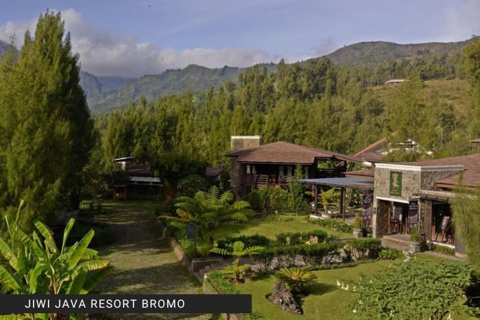 jiwi jawa bromo resort giava (3)