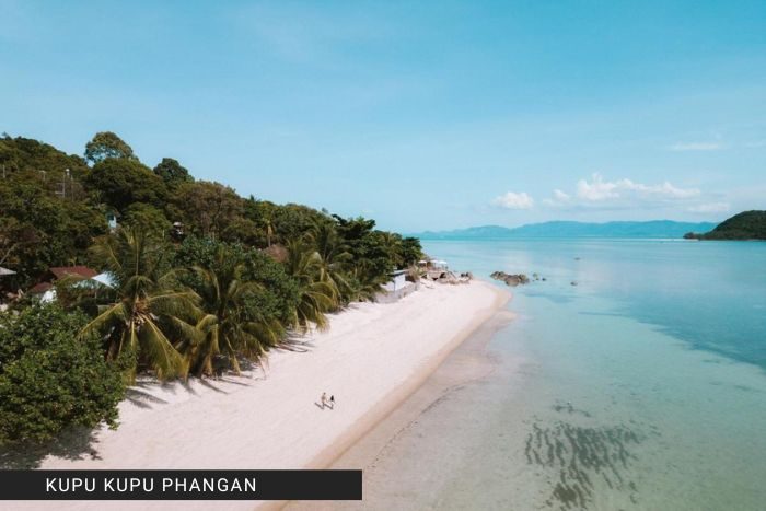 Kupu Kupu Phangan*****