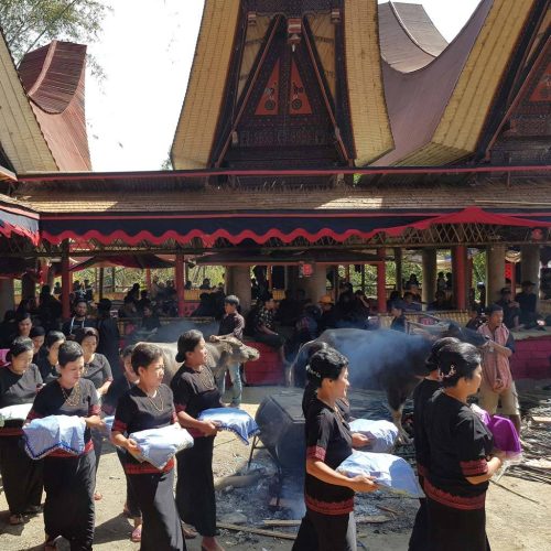 Sulawesi Toraja rituali