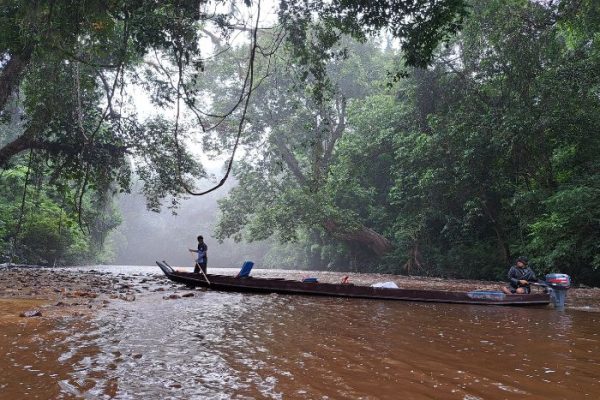 taman negara malesia (2)