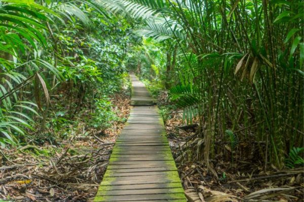 tour borneo malesia