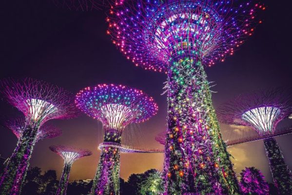 tour con guida singapore